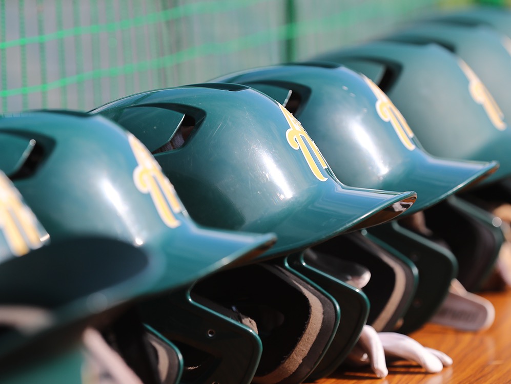 Softball Australia appoints new Chief Executive Officer World Baseball Softball Confederation