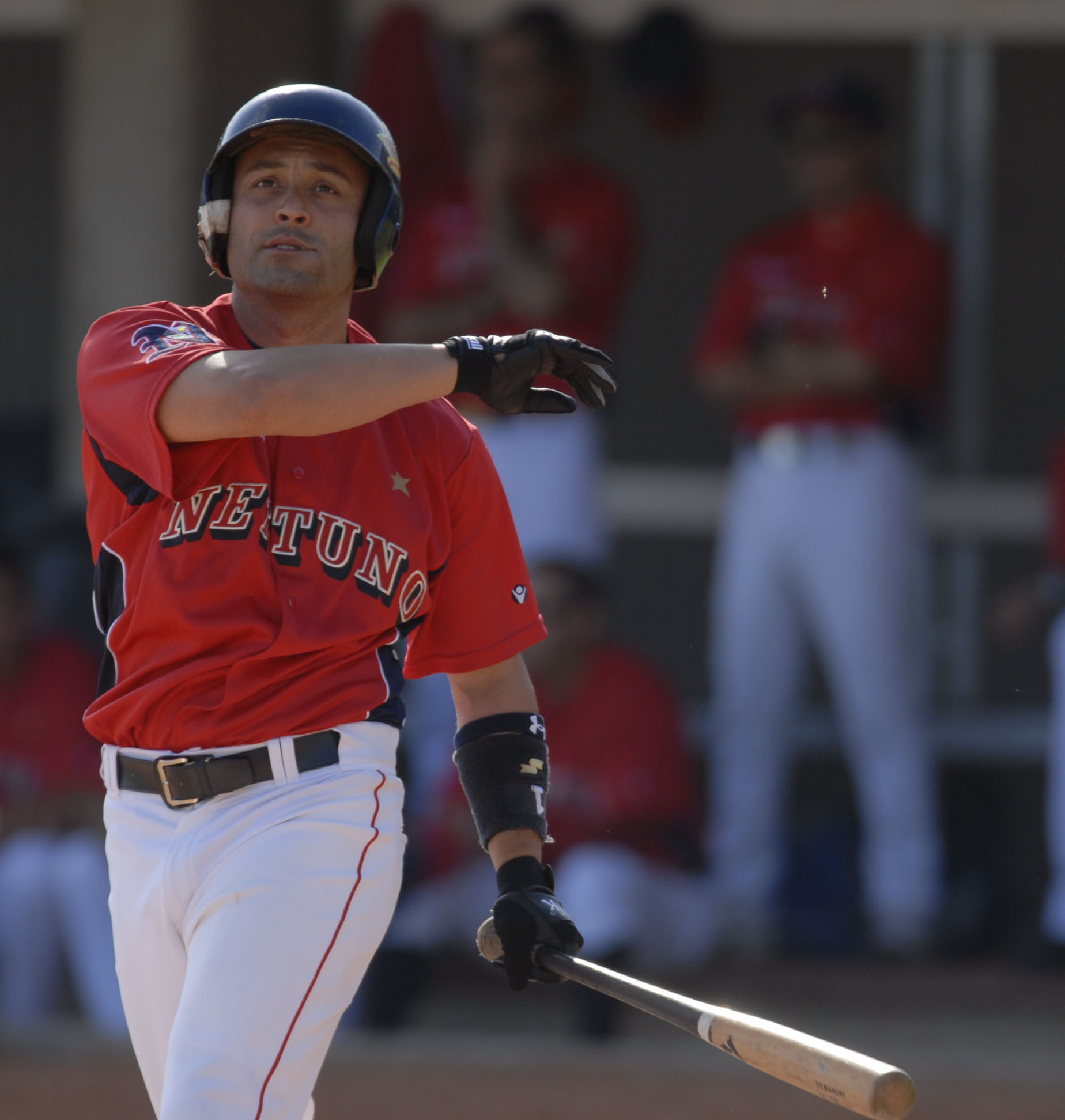 Federazione Italiana Baseball Softball