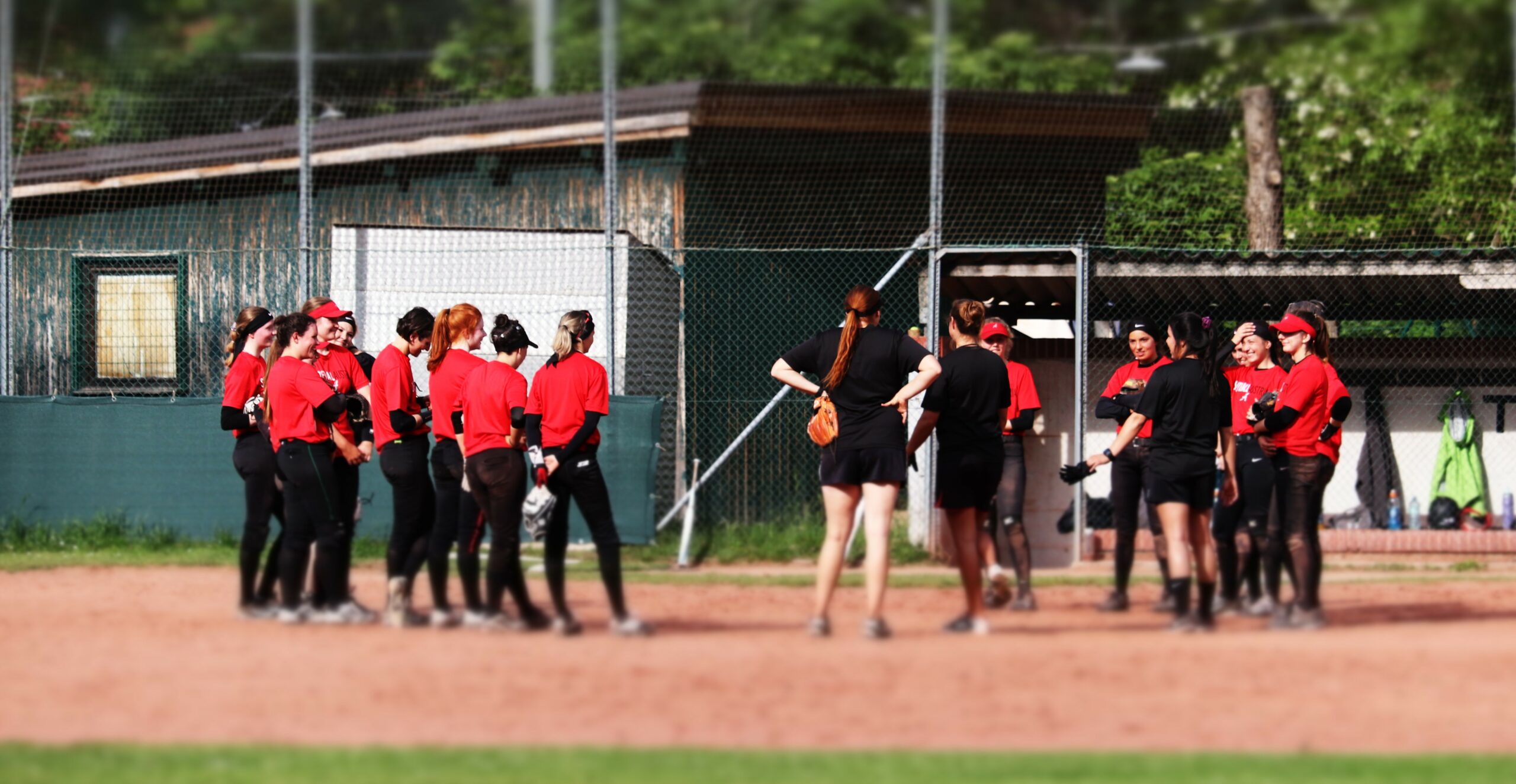 Team ManagerIn und LigaverantwortlicheR Softball gesucht!