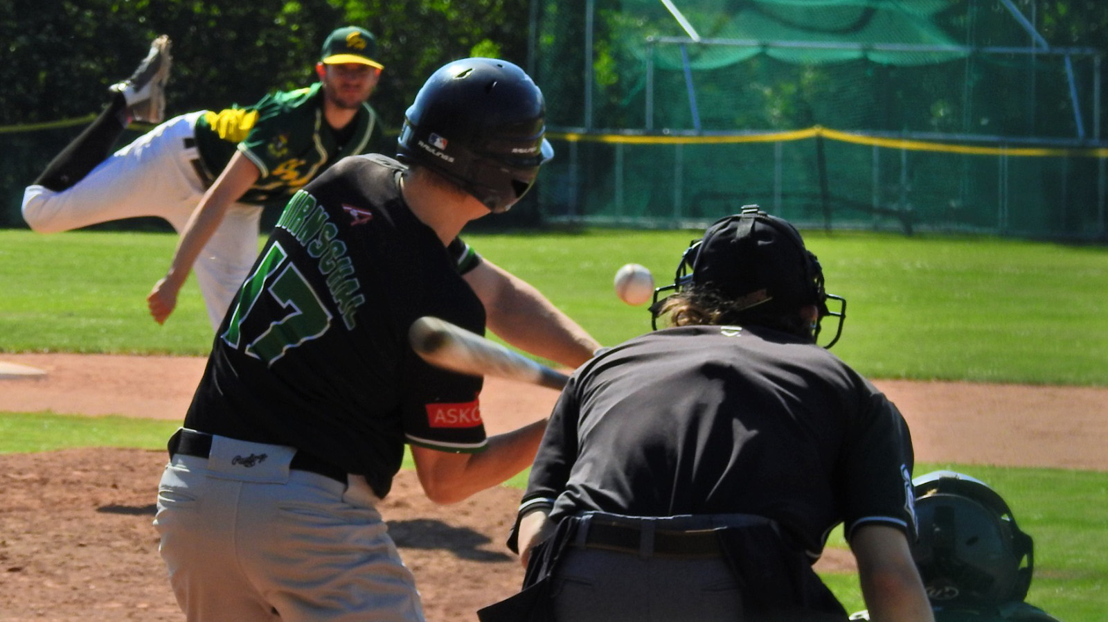 Grasshoppers gewinnen Auftakt in langes Baseball-Wochenende