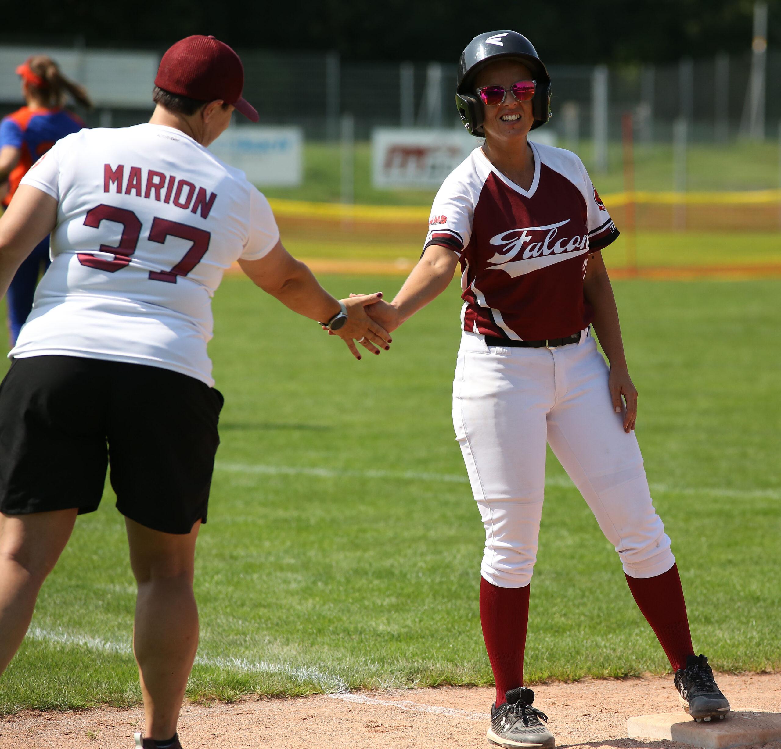 Doubleheader der Falcons gegen Wiener SG endete mit Split