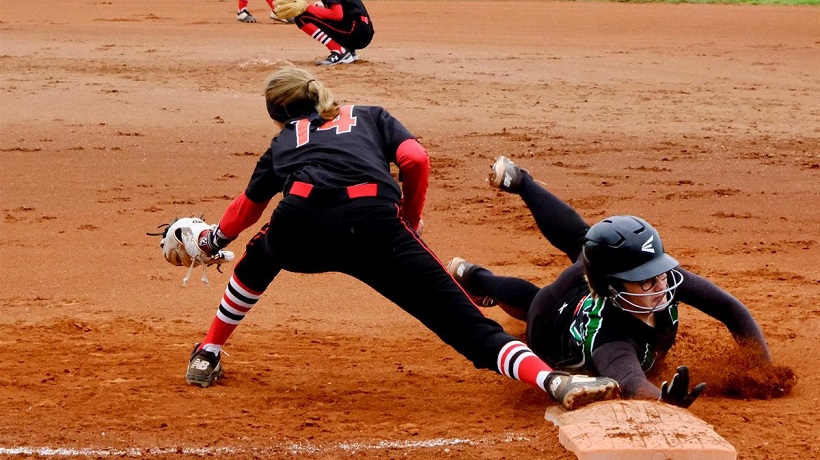 Vienna Wanderers und Crazy Chicklets kämpfen um Titel in der Softball Bundesliga