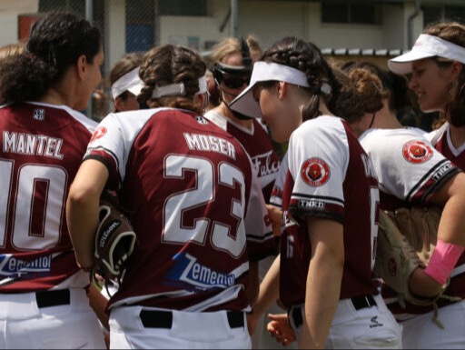 2. Softball Bundesliga – Split bei Falcons vs Bumblebees