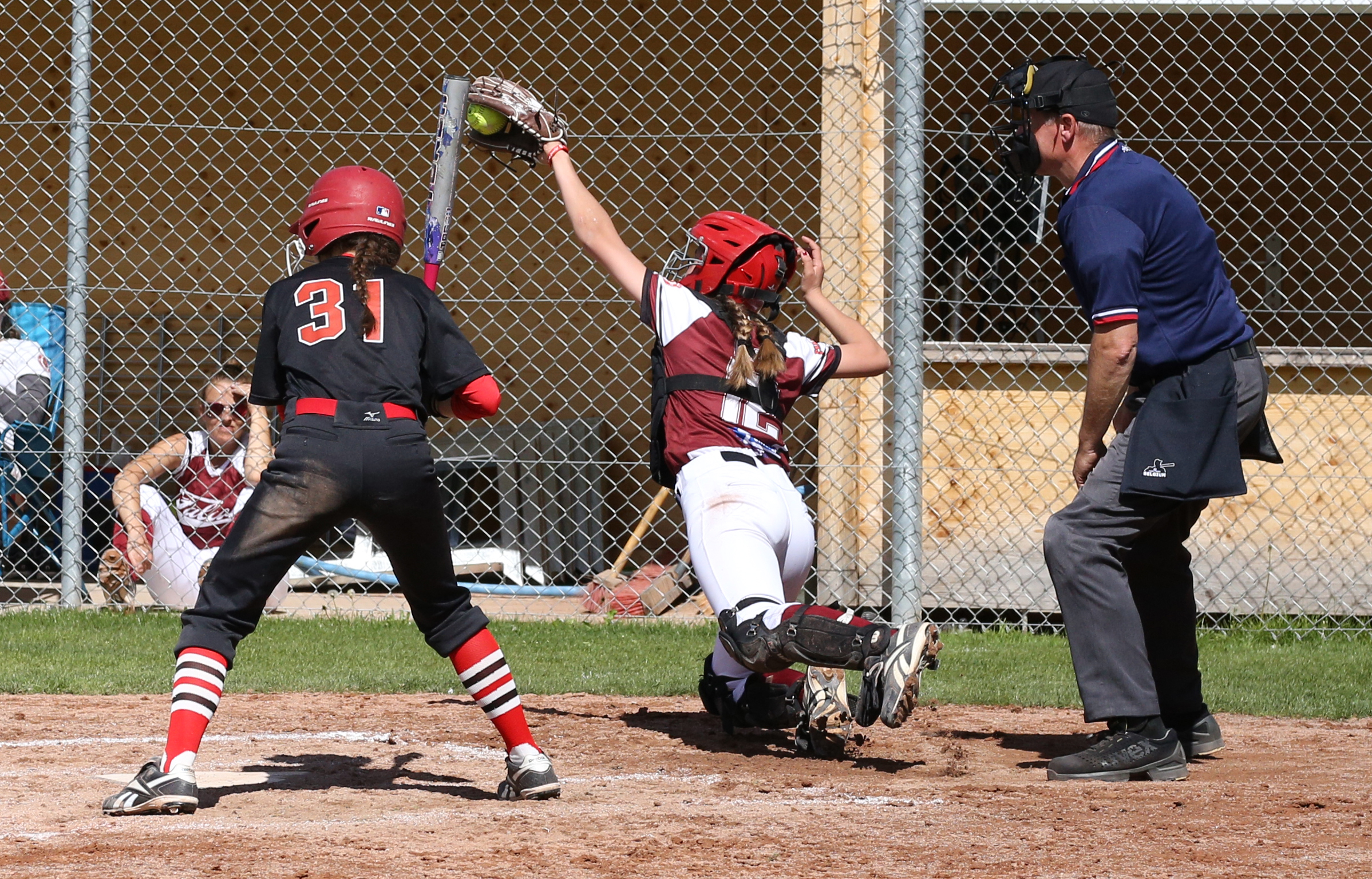 2. Softball Bundesliga – Feldkirch Falcons mit starkem Start in die neue Saison