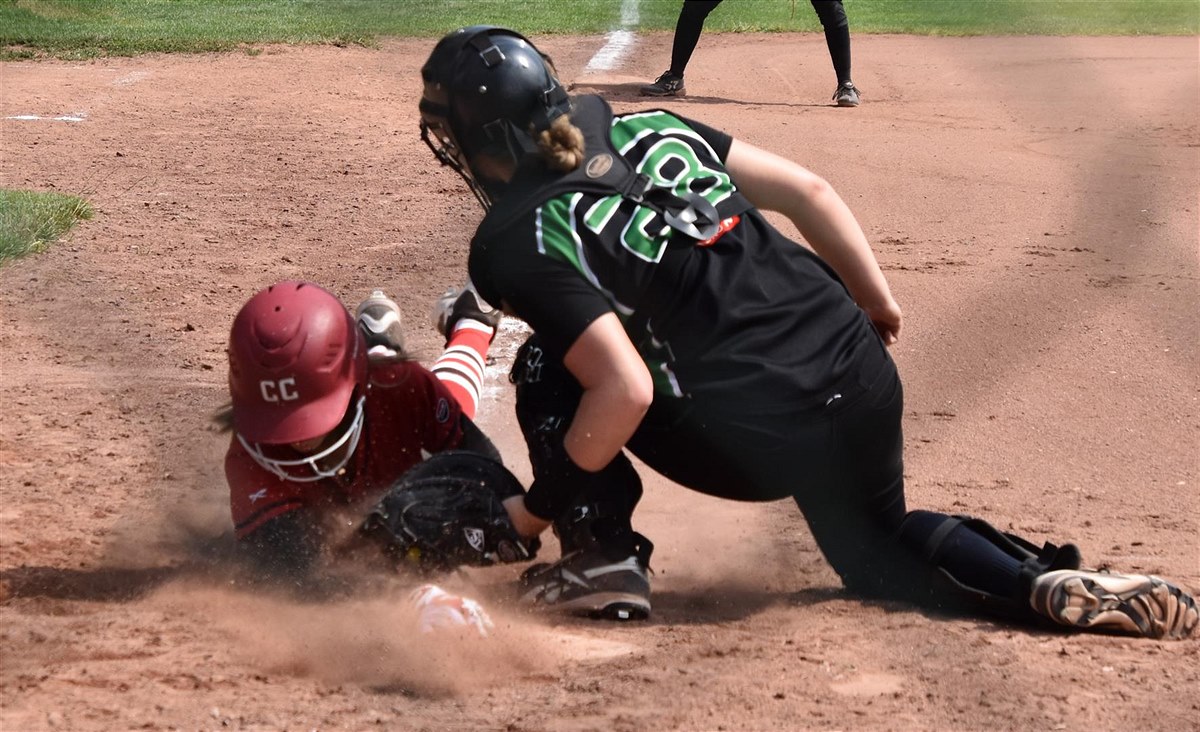 Spielpläne und Modi für die Baseball Bundesliga und Softball Bundesliga stehen fest