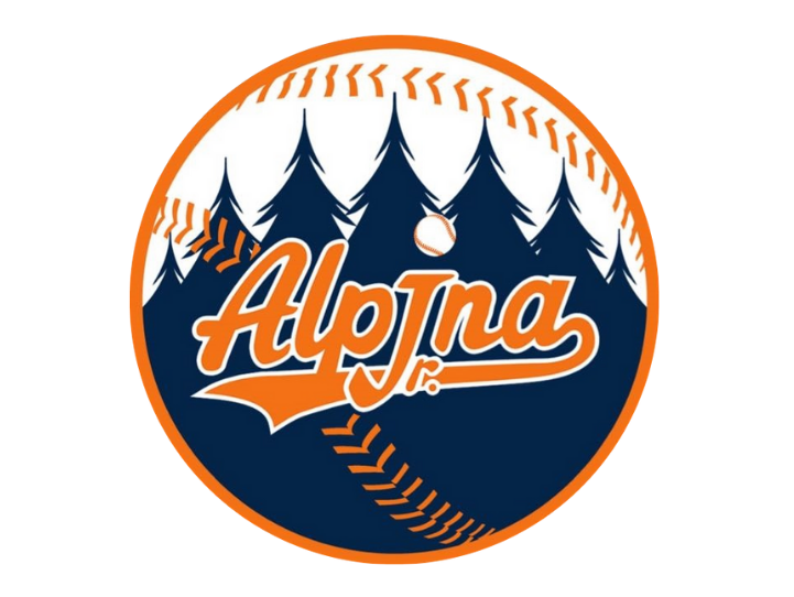 A.S.D. Junior Alpina B.S. flag