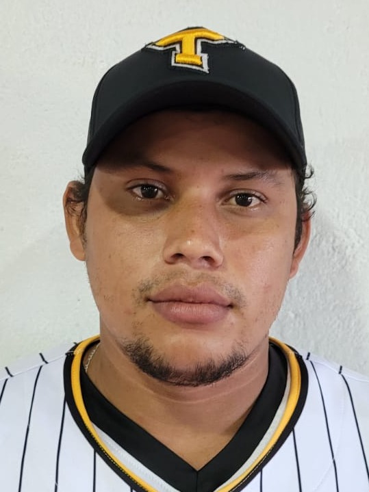 XVII Campeonato de Béisbol Profesional Nacional 2021-2022