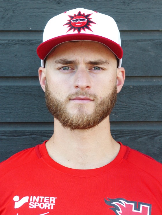 Elitserien Baseboll 2020