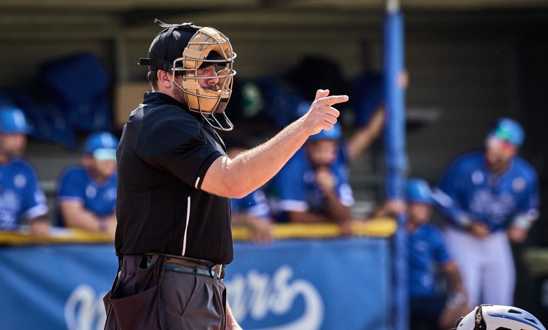 Save the Date: Baseball Umpiring (dual) Certification & Basic Clinic on November 27-30 in Toulouse, France