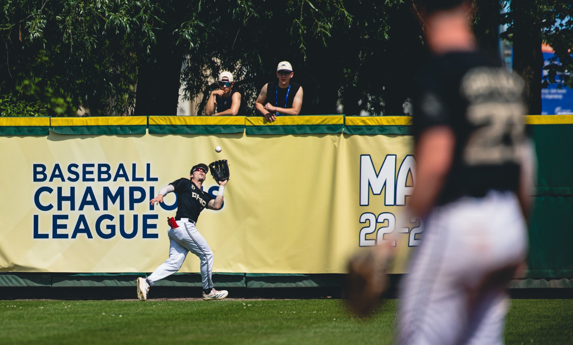 Baseball Champions League Europe Final Four set: How the finalists earned their spots