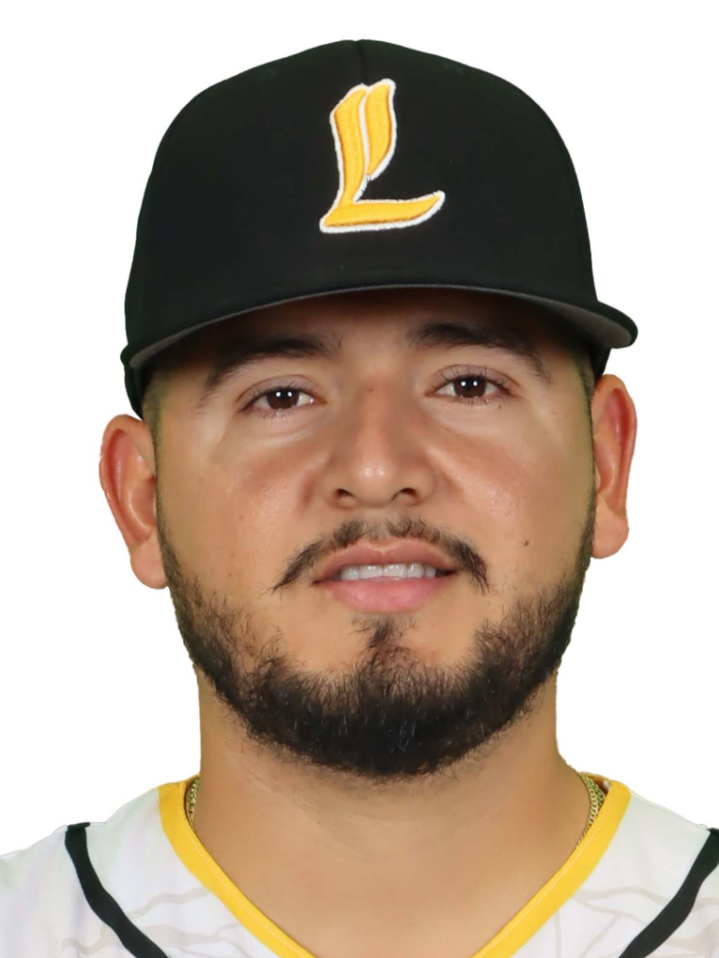 MEJIA FLORES-Dilmer Ramon