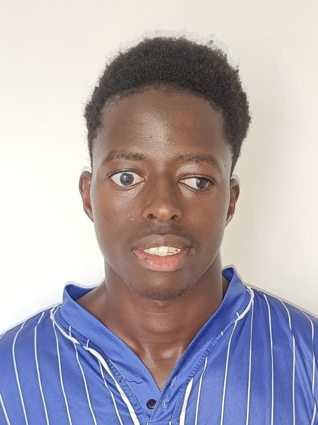 DIANE-Saliou