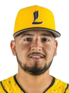 MEJIA FLORES-Dilmer Ramon