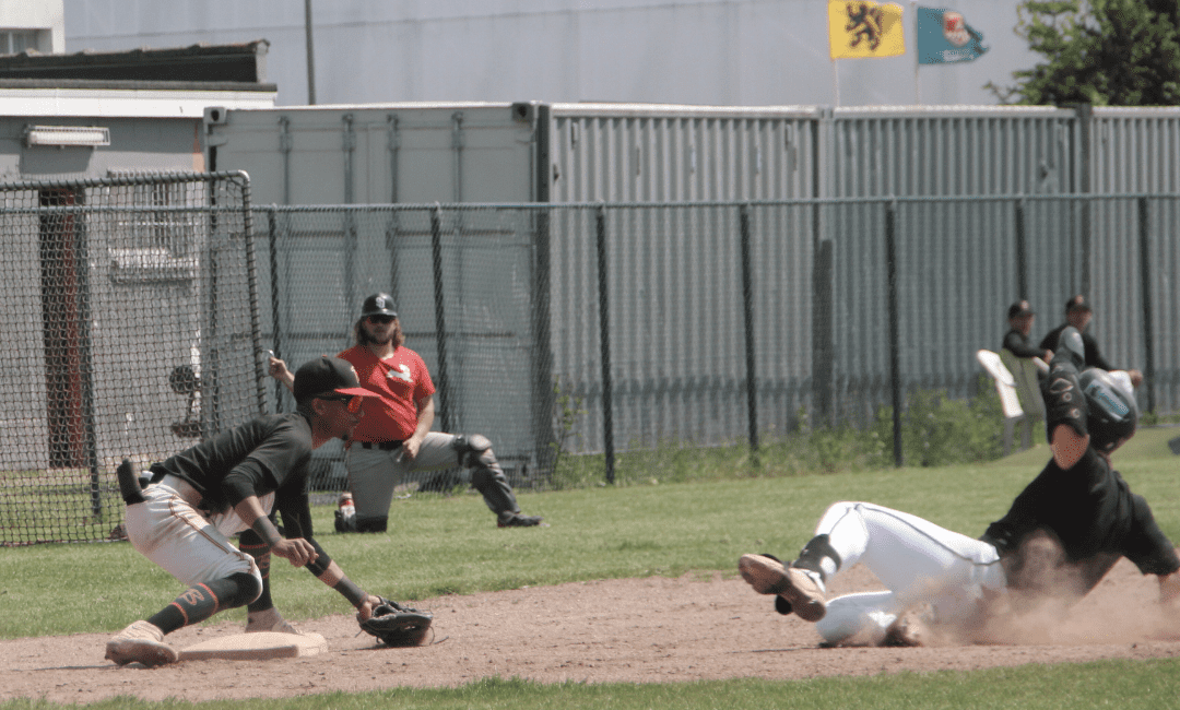 Baseball National Teams finish first training camp Royal Belgian