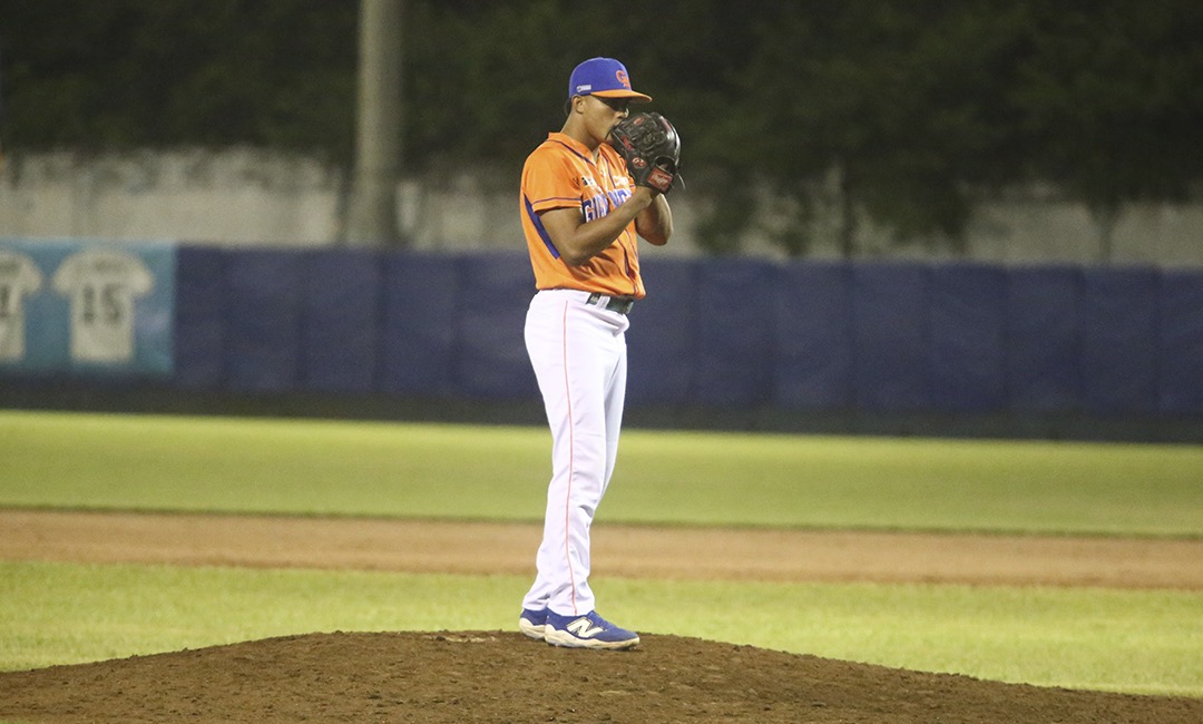 Leones blanqueados en Rivas