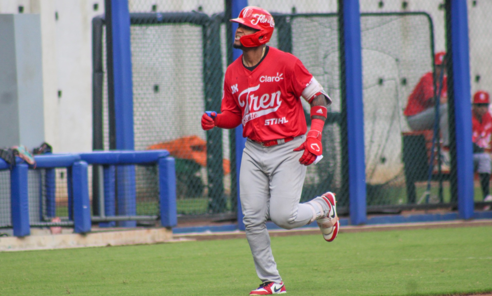 Tren sobrevive a ferocidad de Rifaela
