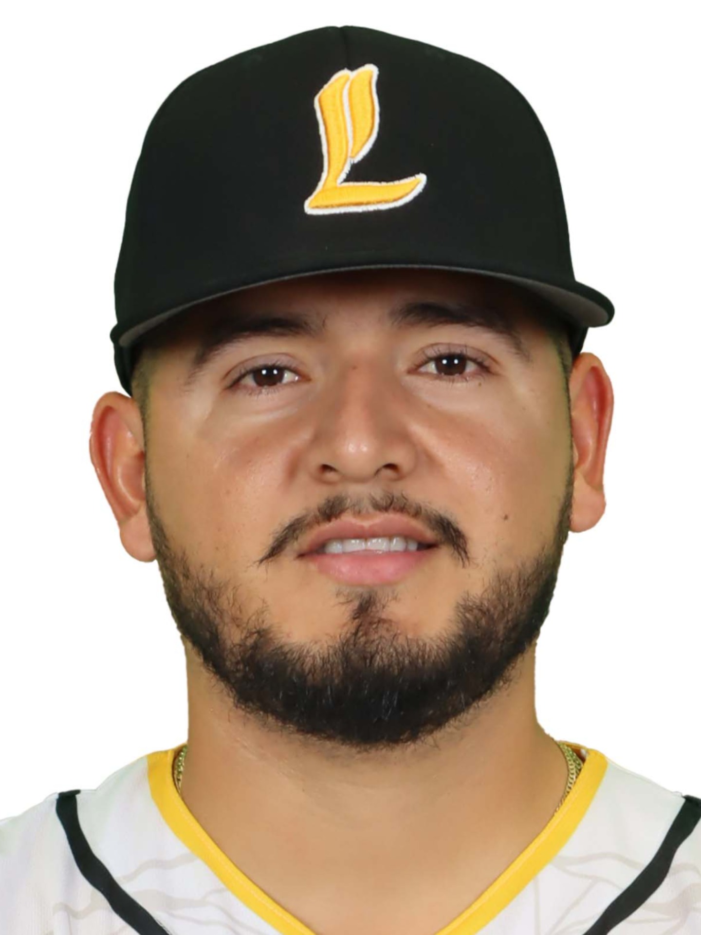 MEJIA FLORES-Dilmer Ramon