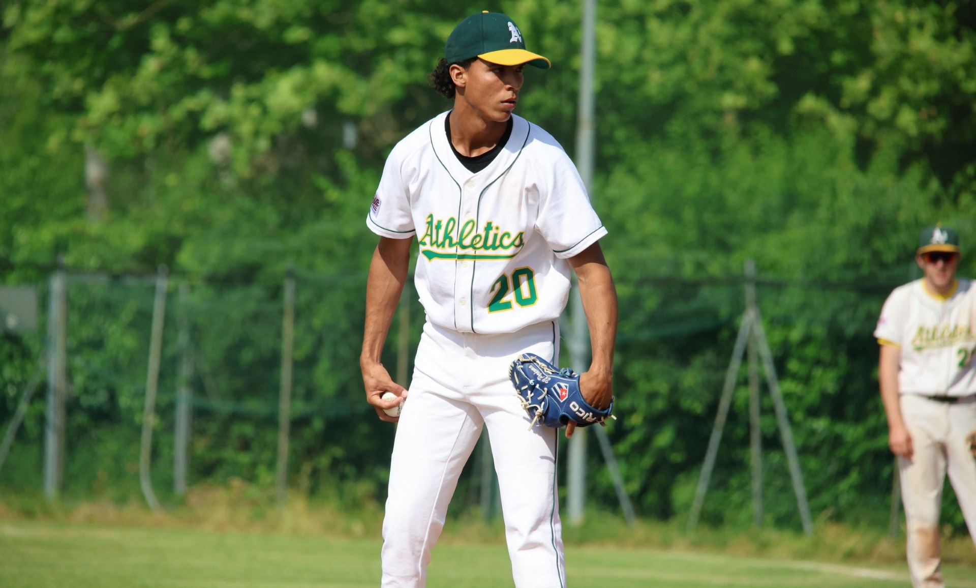 Serie A Baseball, ufficializzata la Poule Gold