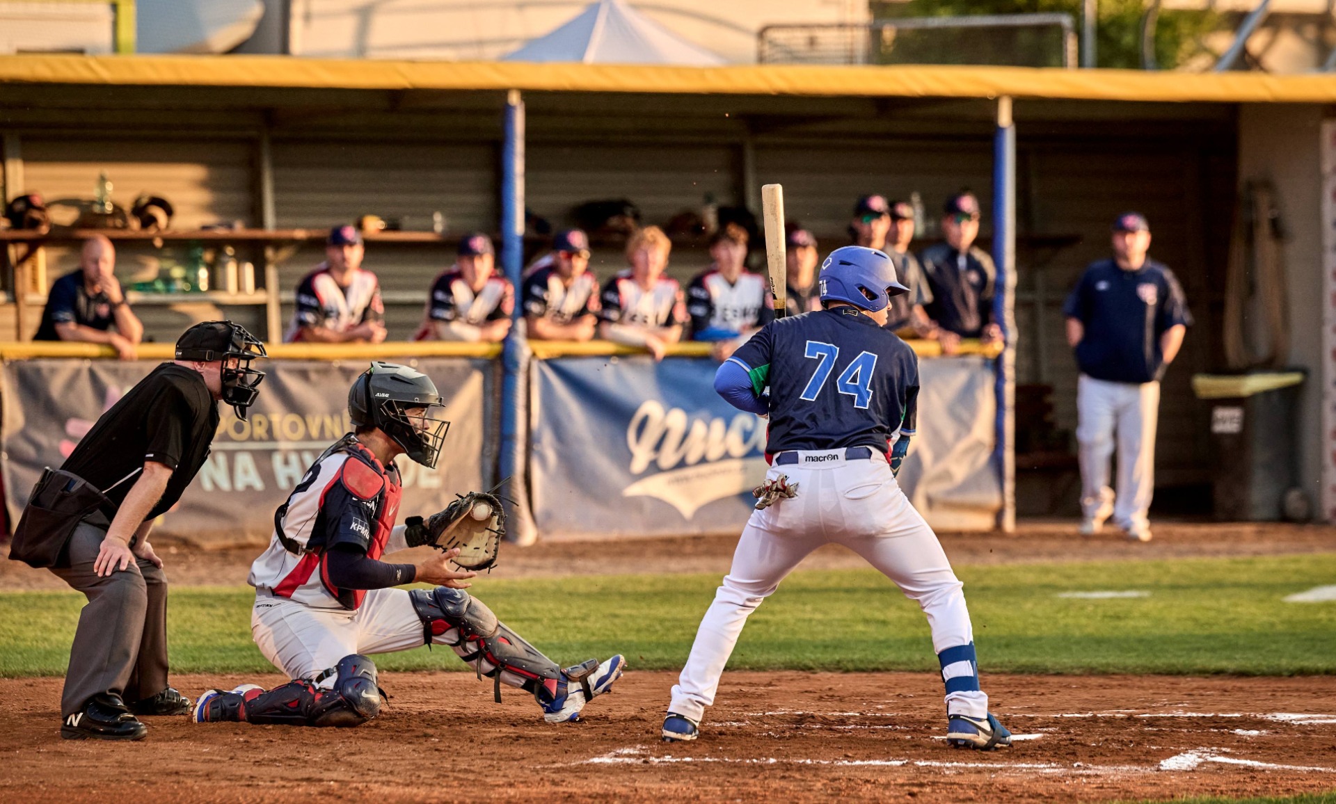 Europeo Baseball U23: niente finale per l'Italia, vince la Cechia