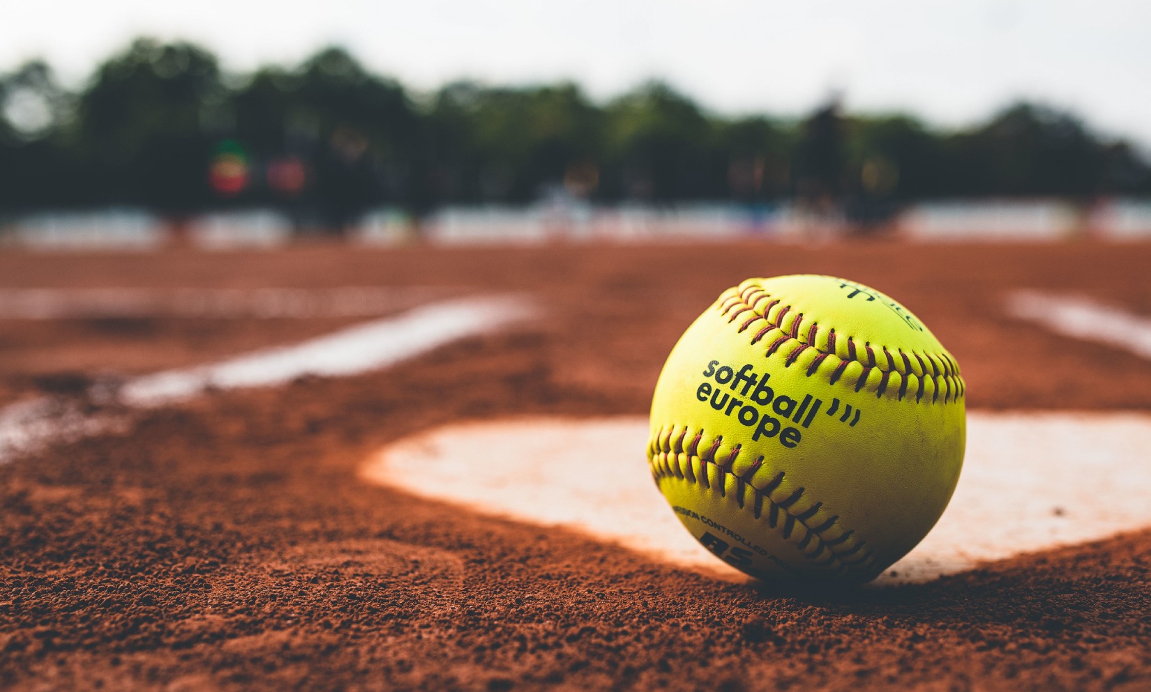 D1 Softball Rankings 2024
