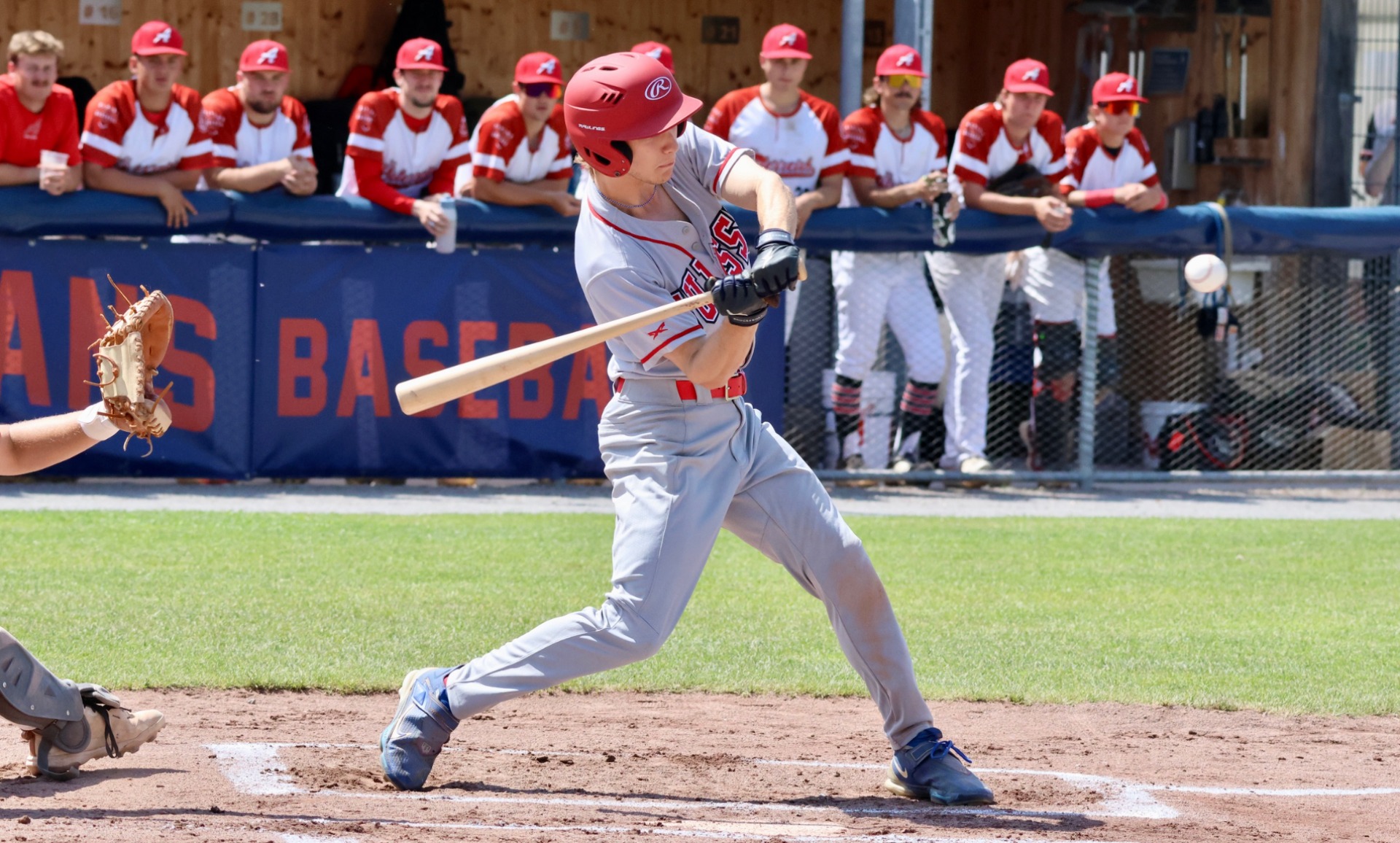 Germany Wins First Alpine International Baseball Trophy 2026